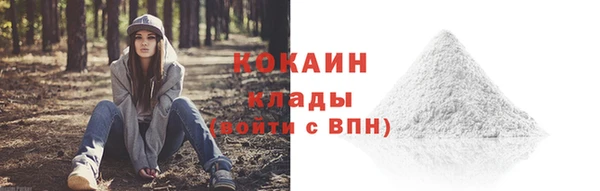 первитин Заводоуковск