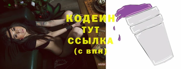 первитин Заводоуковск