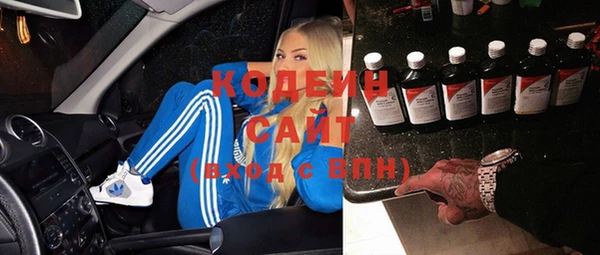 первитин Заводоуковск