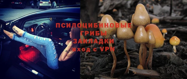 первитин Заводоуковск