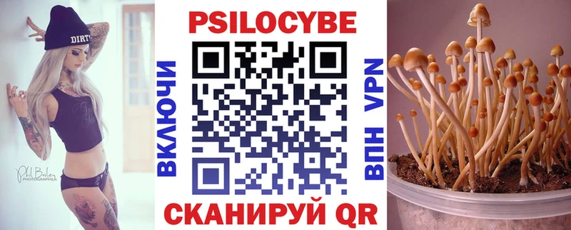 Галлюциногенные грибы Psilocybe  Купить где  Дубовка 