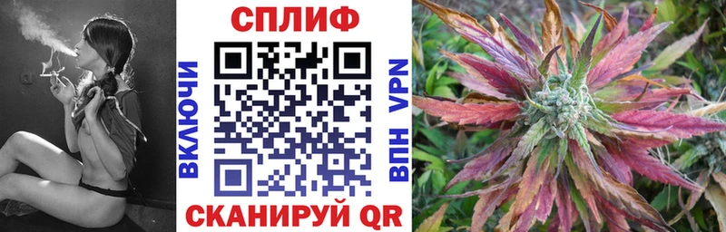 Бошки Шишки гибрид  Купить где  Дубовка 